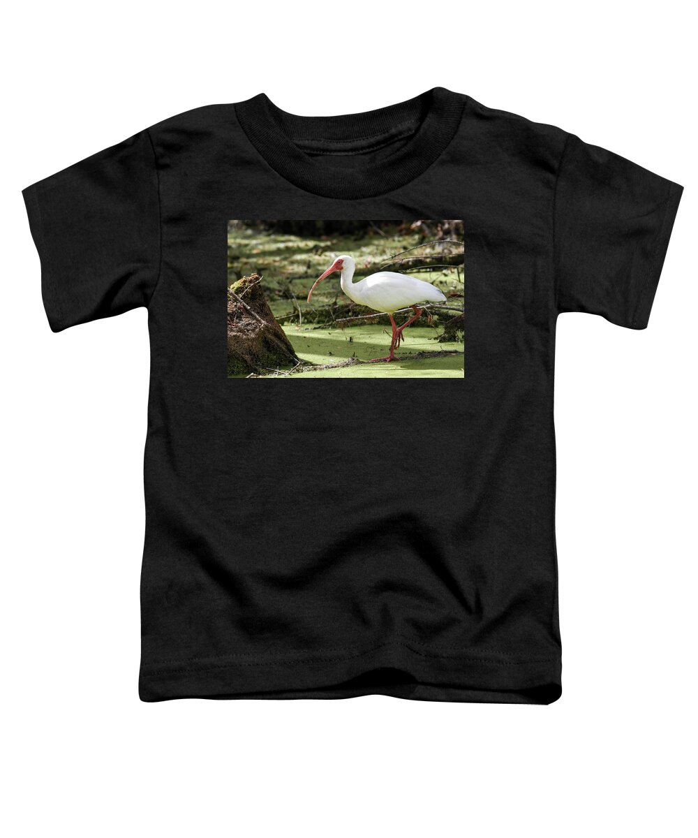 Nature Toddler T-Shirt featuring the photograph White Ibis by Gary Wightman