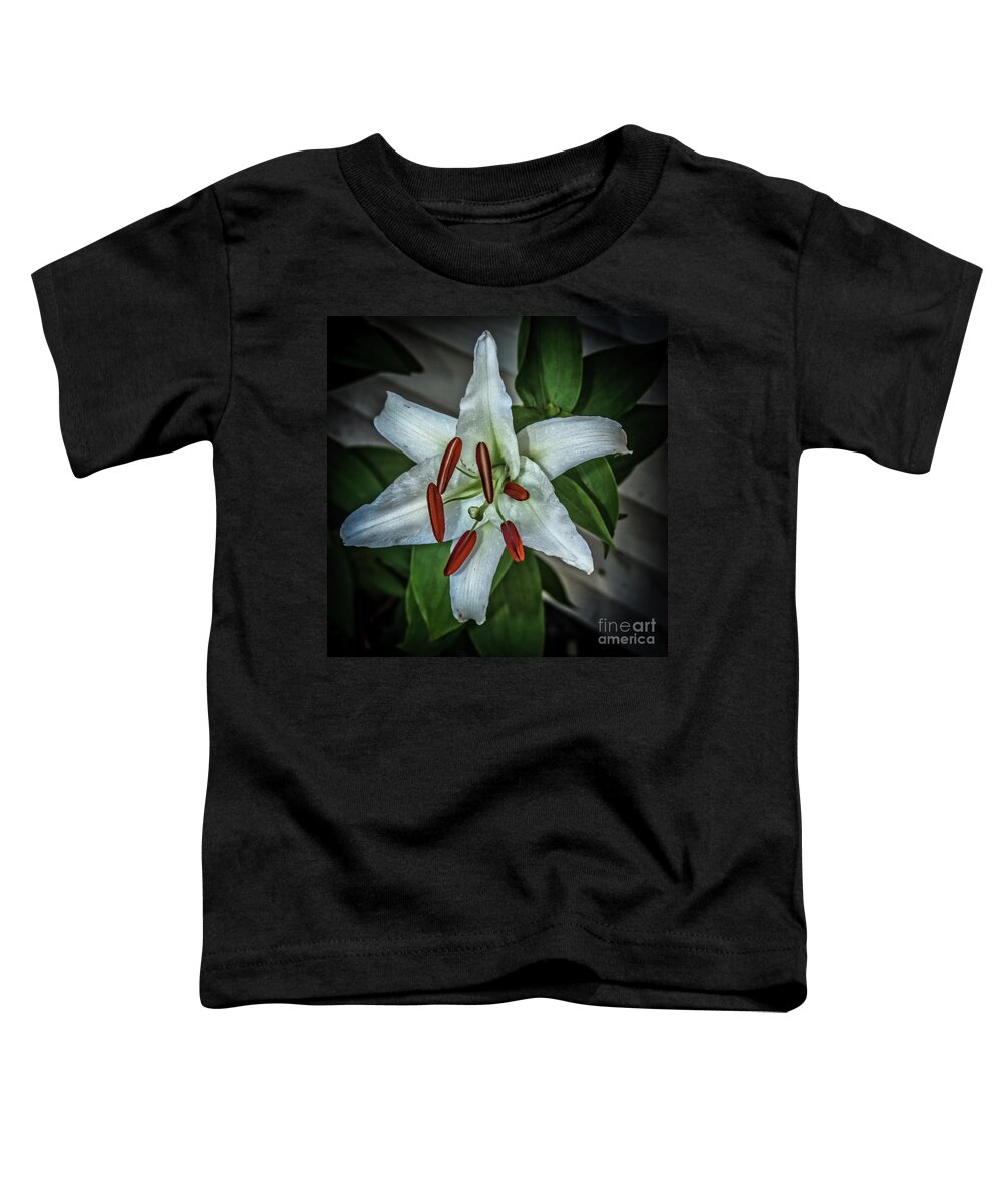 Isolated Toddler T-Shirt featuring the photograph White Lily by Robert Bales