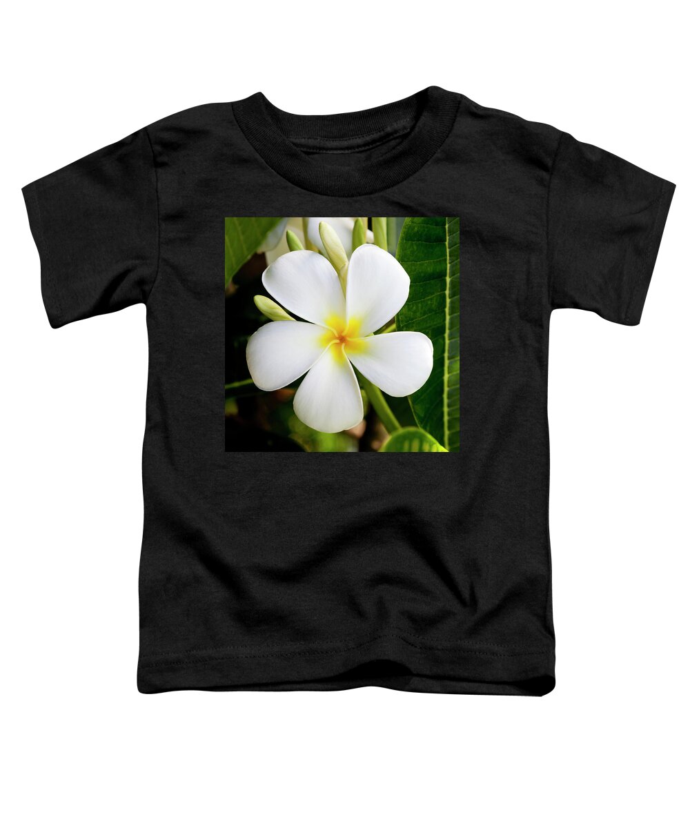 White Plumeria Toddler T-Shirt featuring the photograph White Plumeria by Kelley King