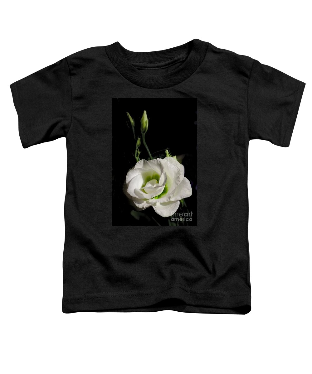 White Toddler T-Shirt featuring the photograph White Rose on Black by Jeremy Hayden