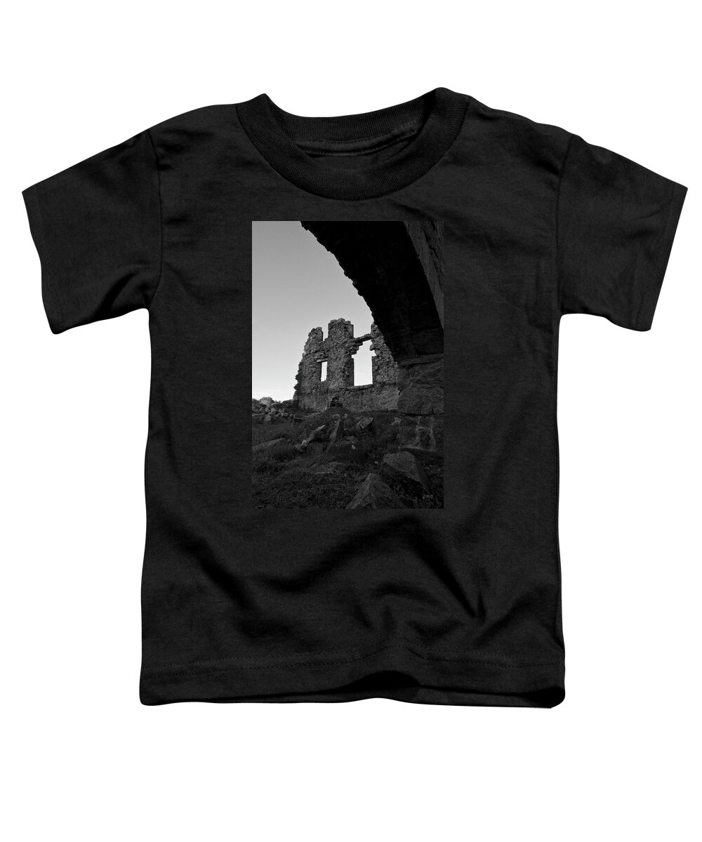 Whites Toddler T-Shirt featuring the photograph Whites Factory Ruins II by David Gordon