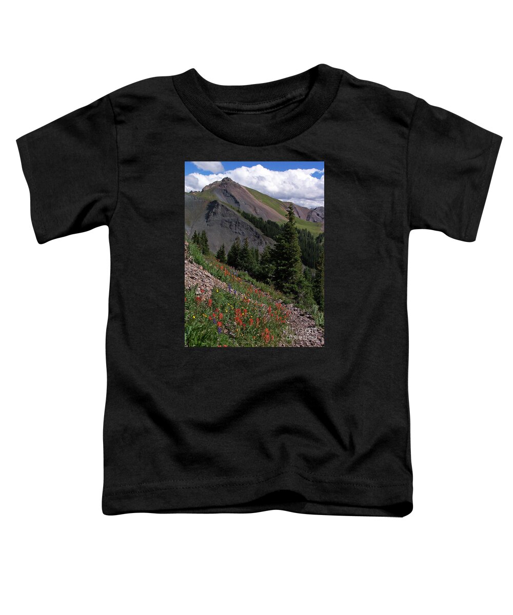 Wildflowers Toddler T-Shirt featuring the photograph Wildflower View by Jennifer Robin