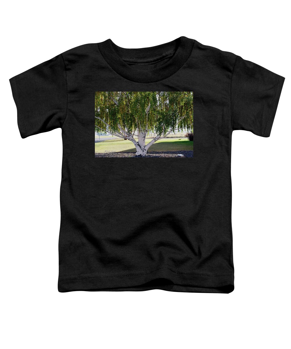 Willow Tree Toddler T-Shirt featuring the photograph Willow Canopy by Kae Cheatham