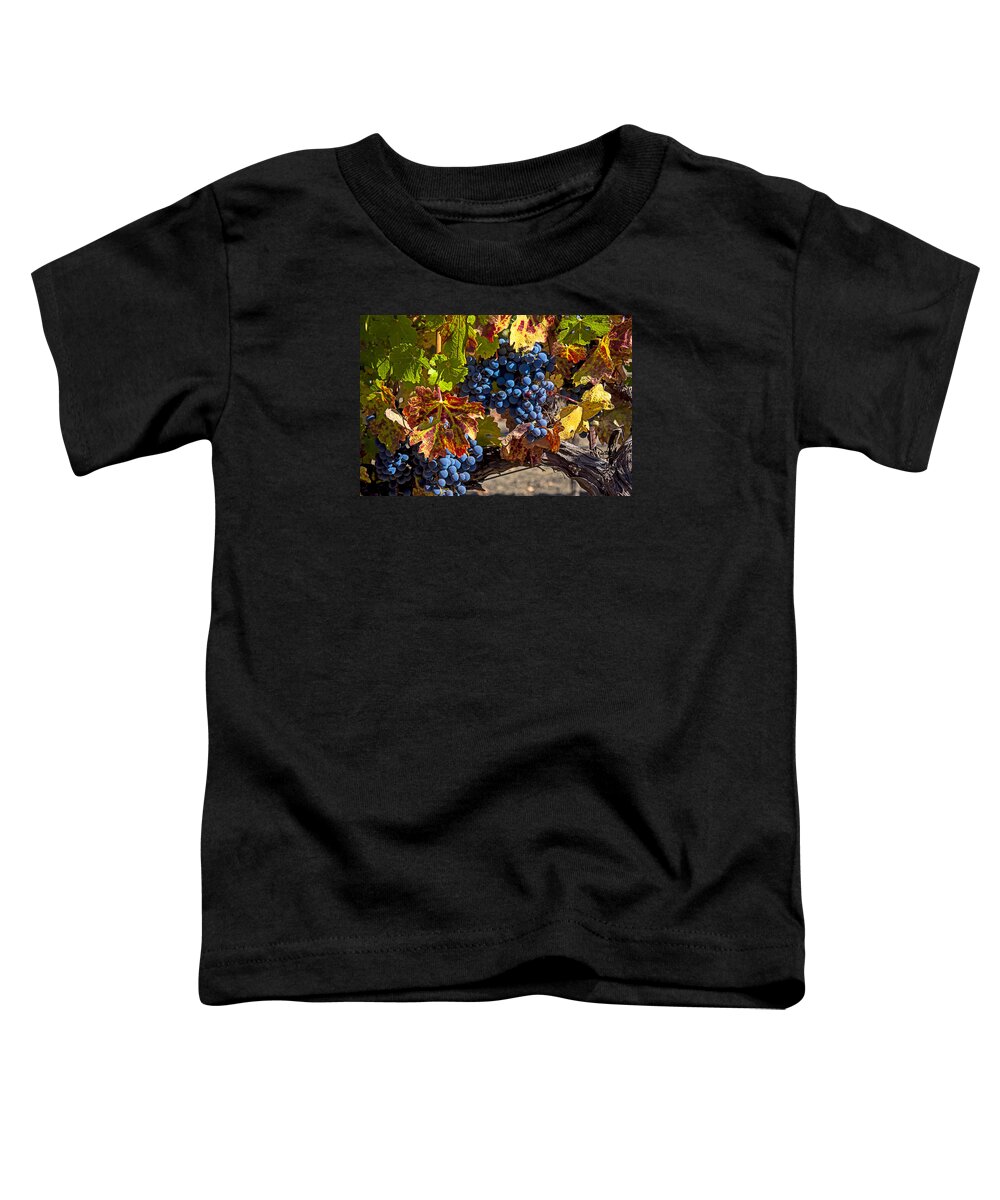 Grapes Toddler T-Shirt featuring the photograph Wine grapes Napa Valley by Garry Gay