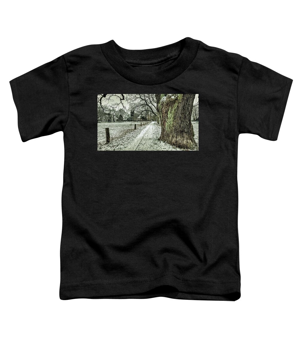 Winter Toddler T-Shirt featuring the photograph Winter Day by Mountain Dreams