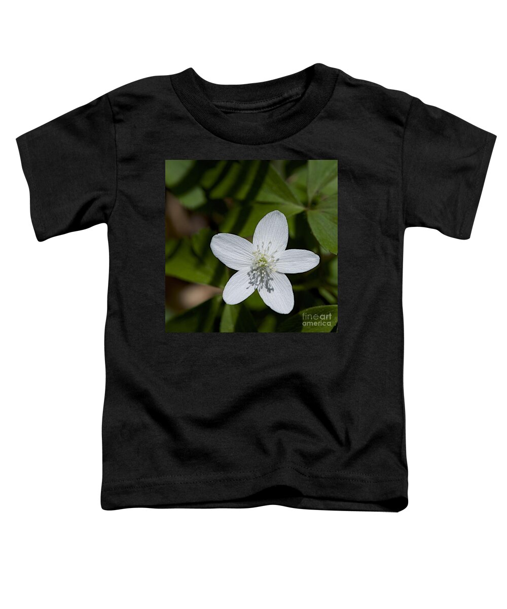 Native Plants Toddler T-Shirt featuring the photograph Wood Anemone by Joseph Yarbrough