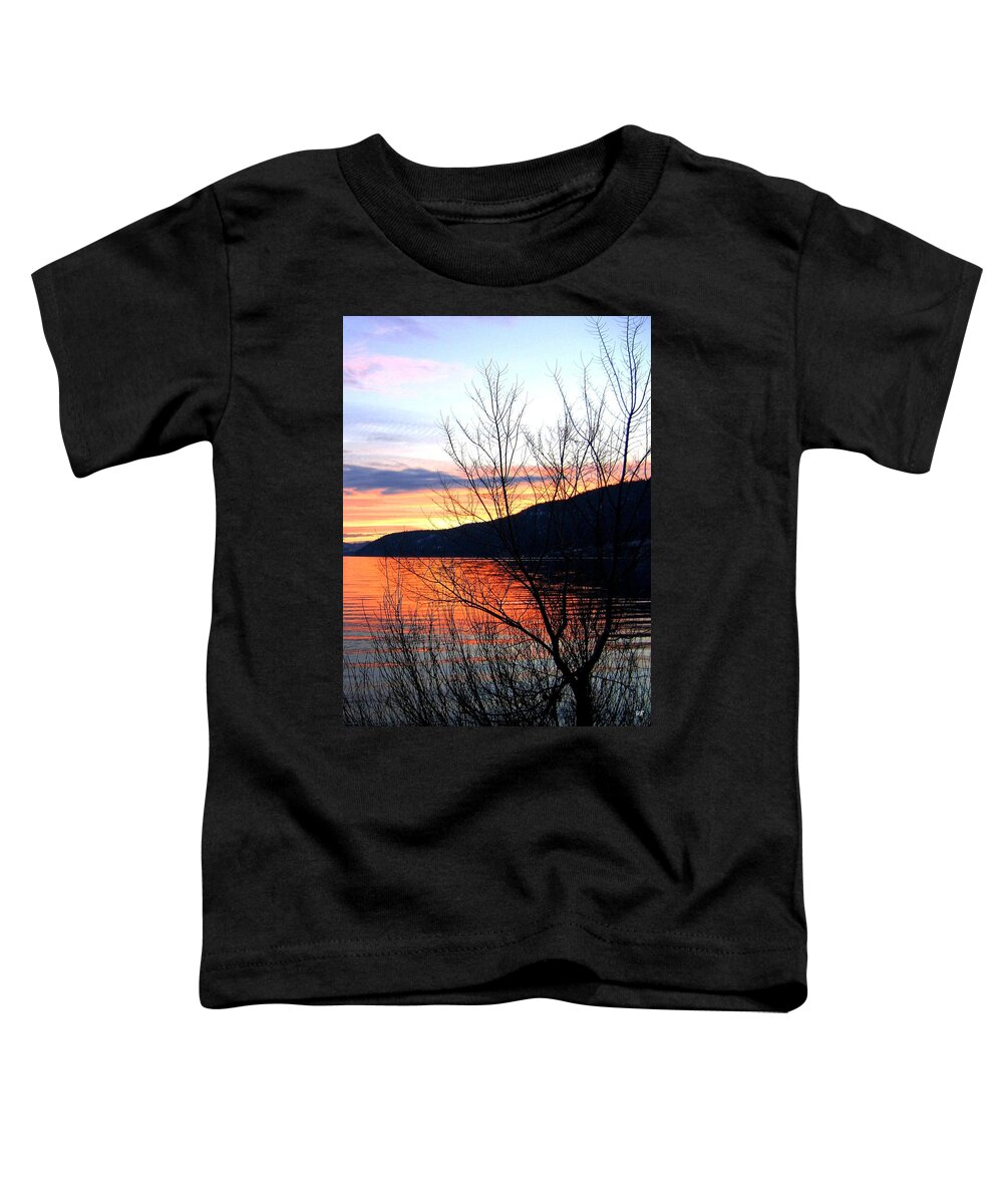 Sunset Toddler T-Shirt featuring the photograph Wood Lake Sunset by Will Borden