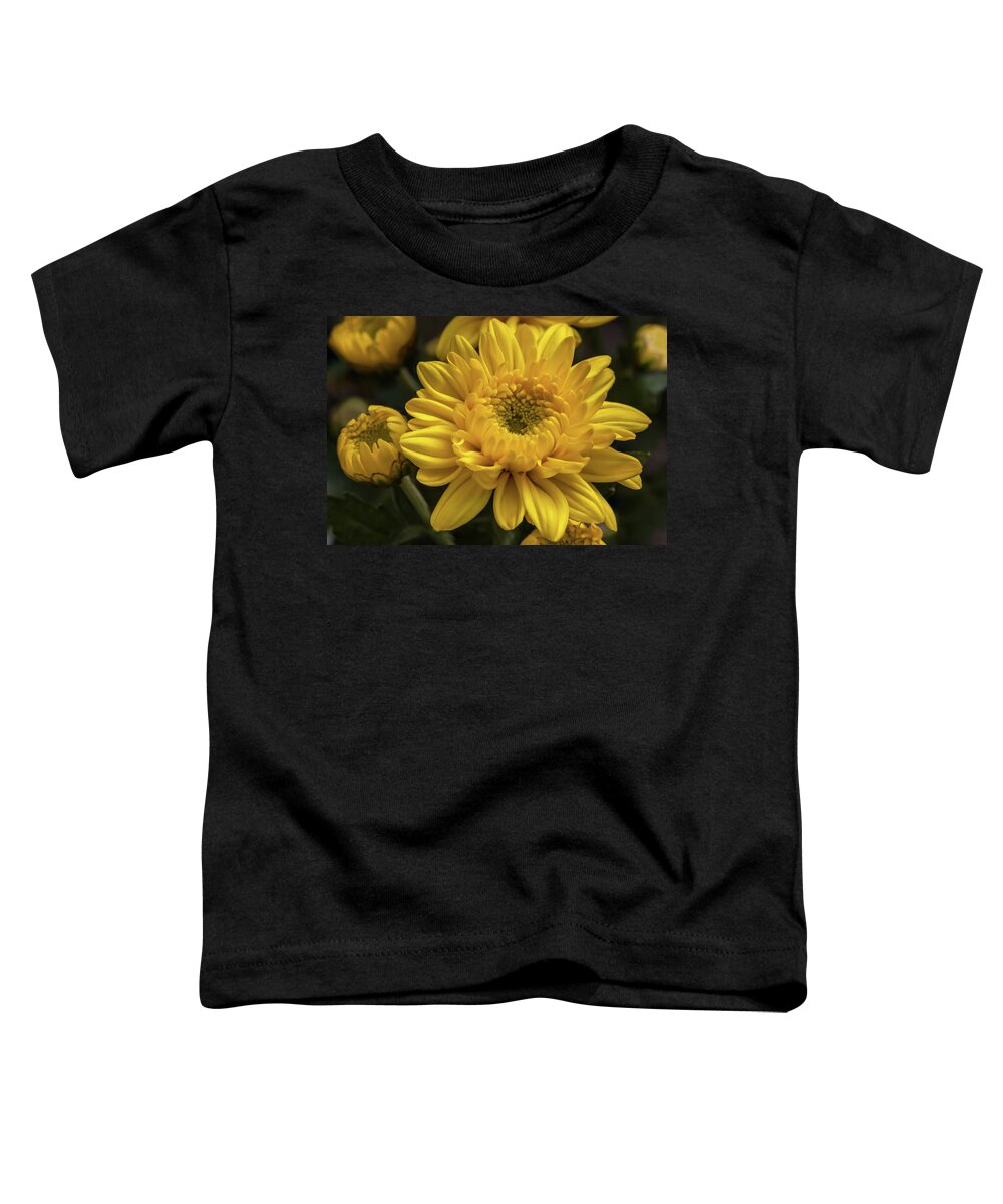 Flower Toddler T-Shirt featuring the photograph Yellow chrysanthemum flower by Tim Abeln