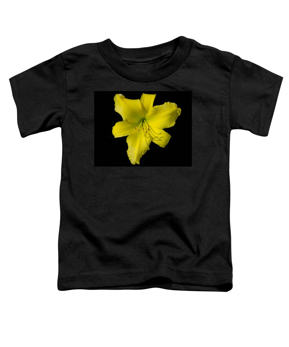 Lily Toddler T-Shirt featuring the photograph Yellow lily Flower Black background by Bruce Pritchett