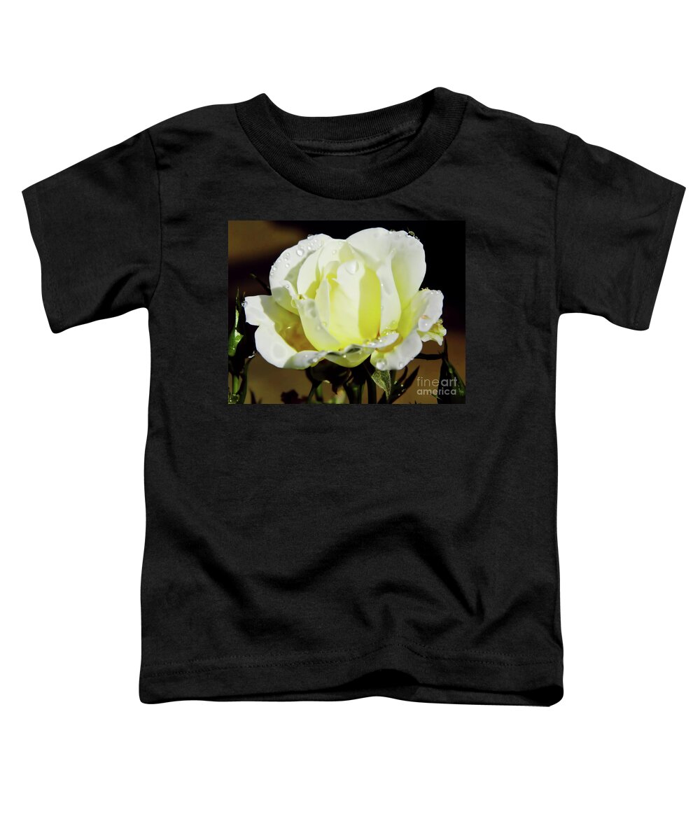 Roses Toddler T-Shirt featuring the photograph Yellow Rose Dew Drops by D Hackett