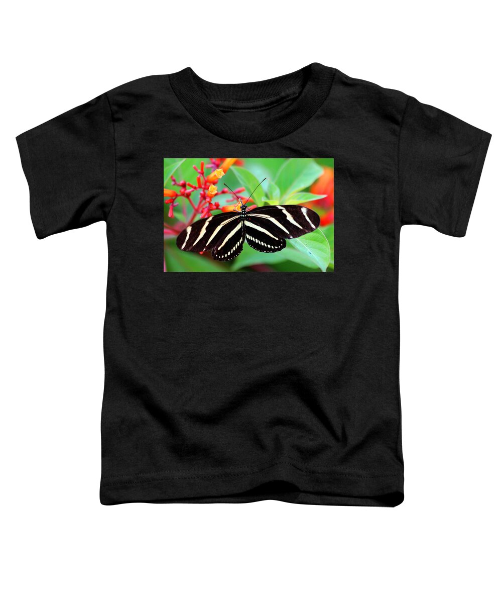Zebra Longwing Butterfly Toddler T-Shirt featuring the photograph Zebra Longwing Butterfly by Carol Montoya