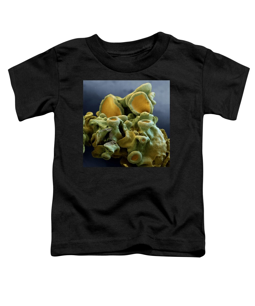 Algae Toddler T-Shirt featuring the photograph Common Orange Lichen by Meckes/ottawa