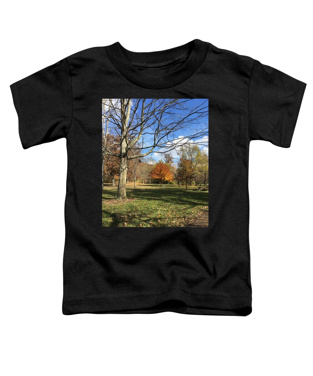 Blue Sky Toddler T-Shirt featuring the photograph Fall Season #1 by Eric Switzer