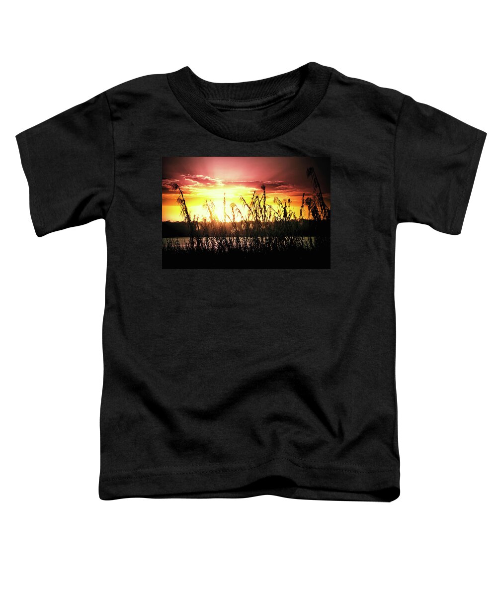 Sunlight Toddler T-Shirt featuring the photograph Bright sunset on the lake by Tatiana Travelways