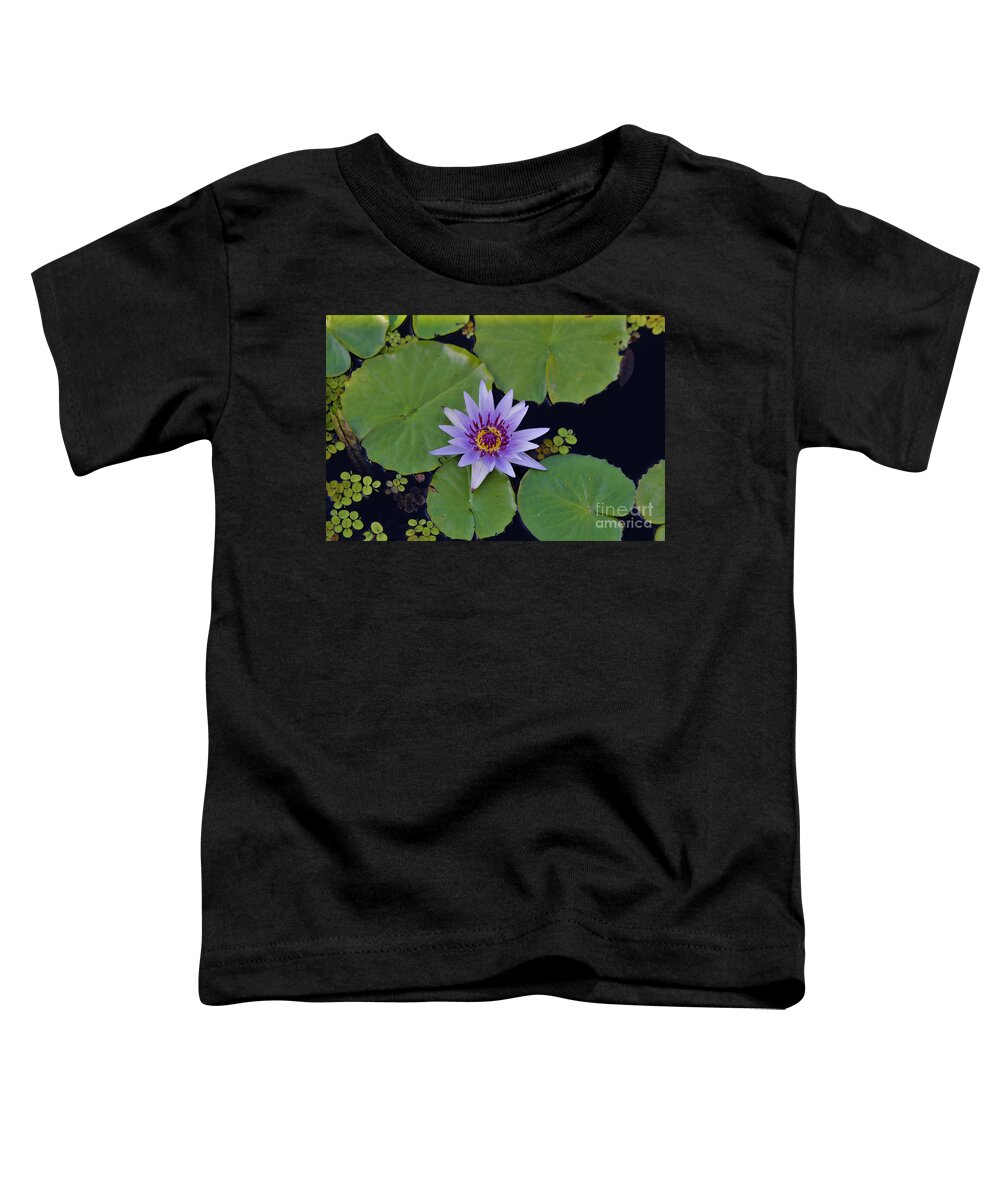 Naples Toddler T-Shirt featuring the photograph Botanical Gardens by Donn Ingemie