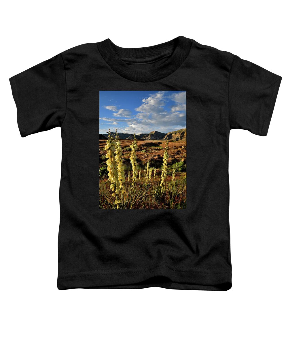 Book Cliffs Toddler T-Shirt featuring the photograph Beautiful Evening at Book Cliffs #2 by Ray Mathis