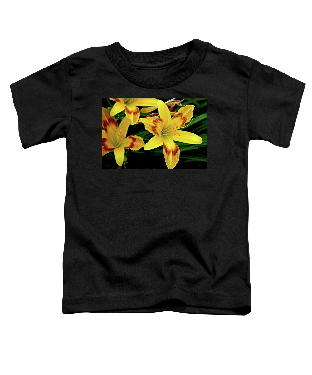 Flowers Toddler T-Shirt featuring the photograph Blooms #2 by George Taylor