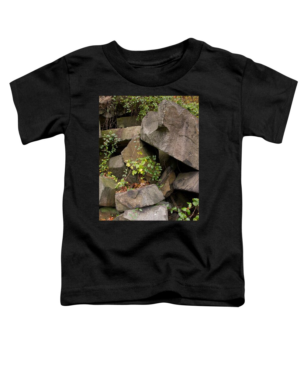 Allegheny Woodrat Toddler T-Shirt featuring the photograph Allegheny Woodrat Neotoma Magister by David Kenny