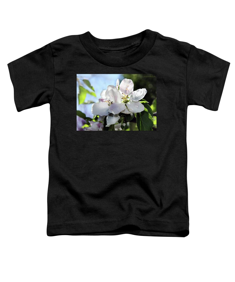 Flowers Toddler T-Shirt featuring the photograph Apple Blossoms by John Lautermilch
