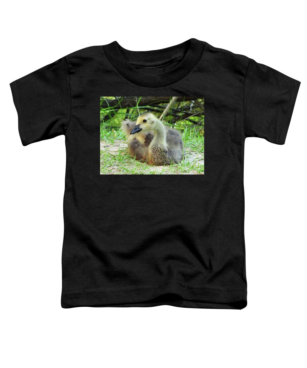 Baby Geese Toddler T-Shirt featuring the photograph Baby Goose by Scott Cameron
