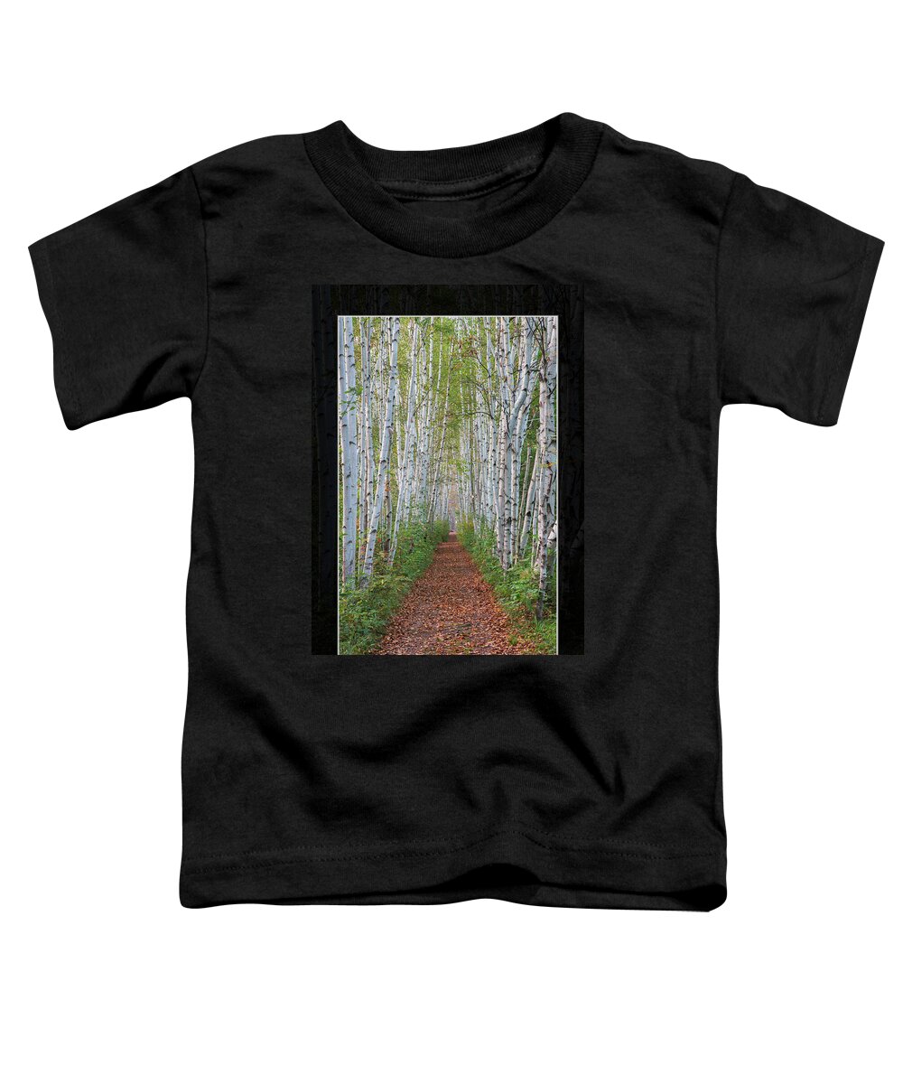 Birch Toddler T-Shirt featuring the photograph Birch Path Art Mat Print by White Mountain Images