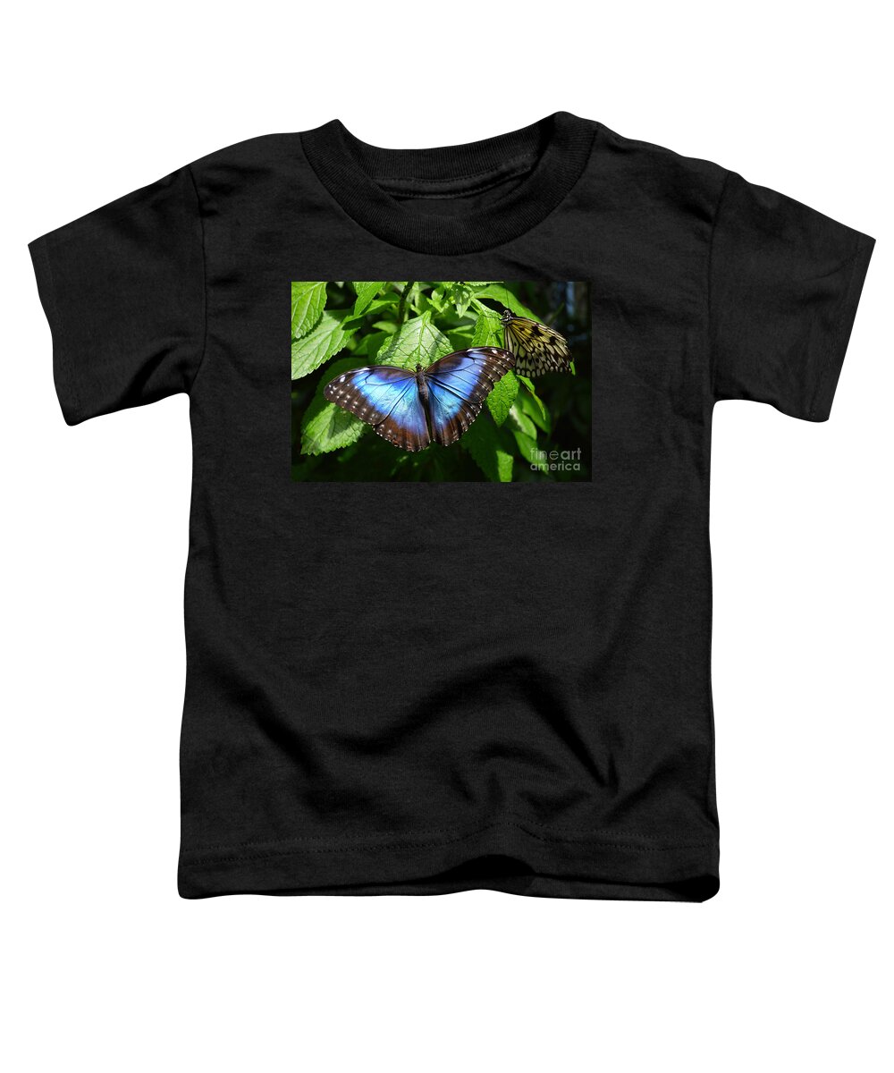 Blue Morpho Toddler T-Shirt featuring the photograph Blue Morpho Butterfly by Catherine Sherman
