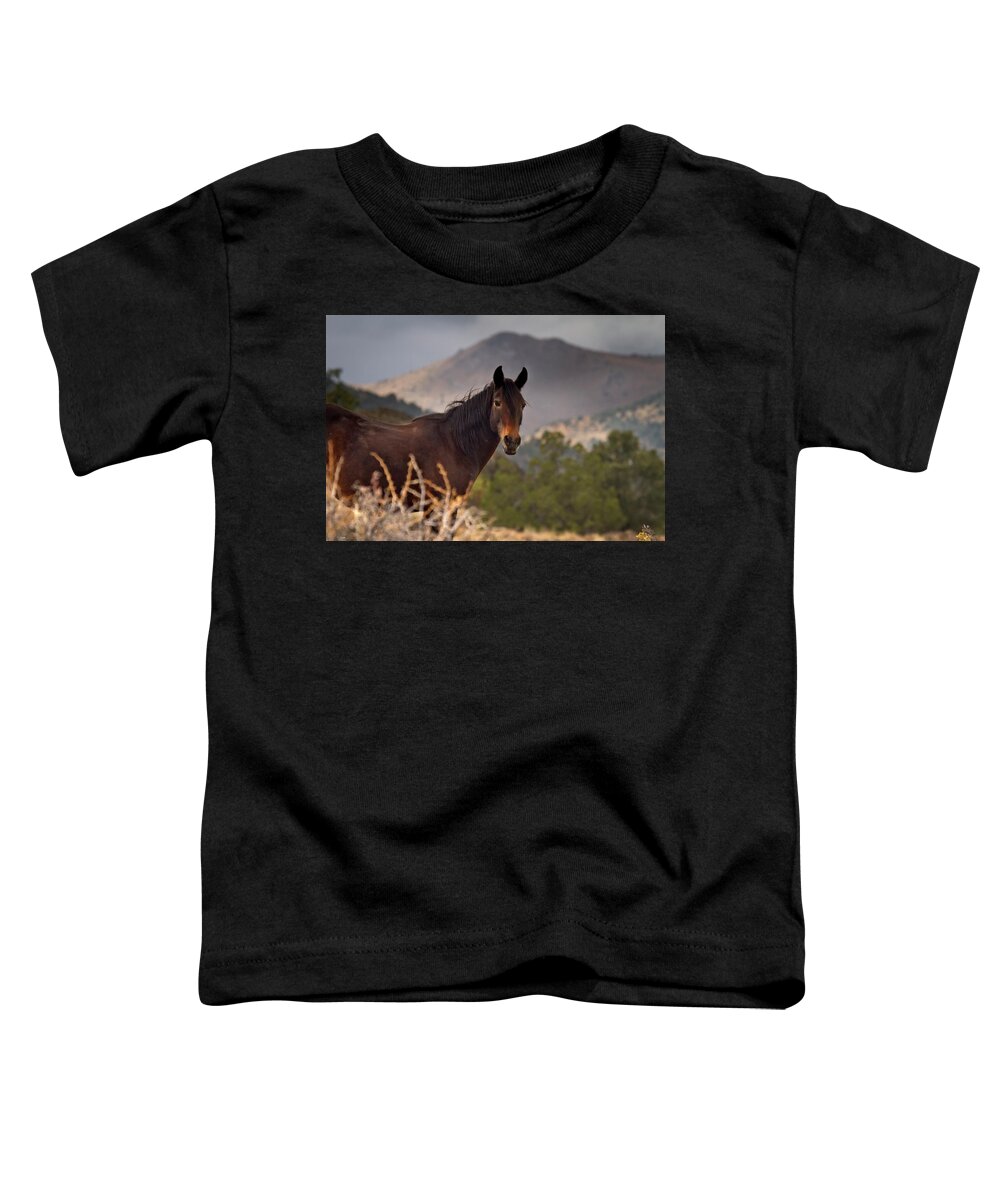 Horse Toddler T-Shirt featuring the photograph Brown and proud wild Mustang stallion by Waterdancer