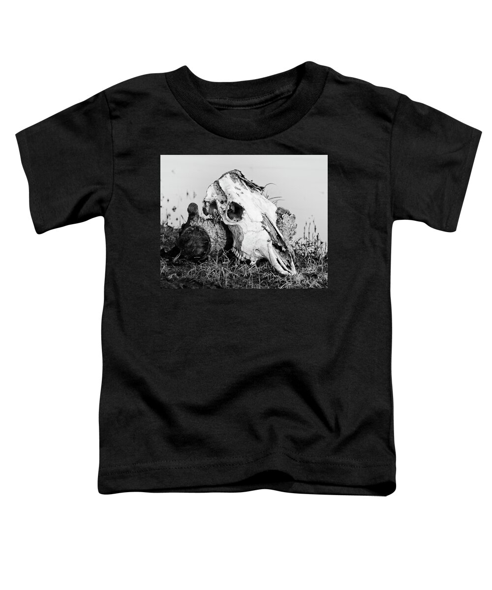 Kansas Toddler T-Shirt featuring the photograph Cow Skull 002 by Rob Graham