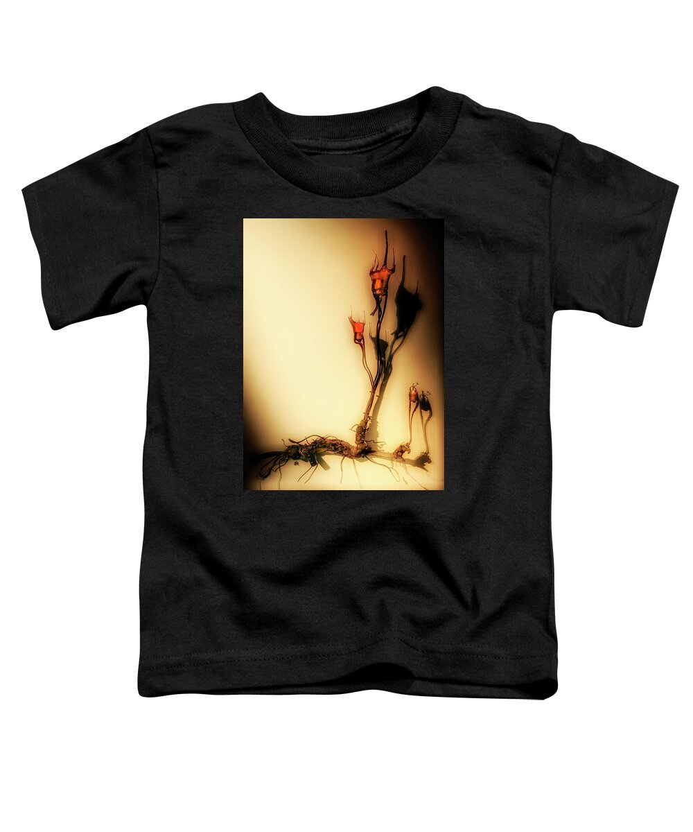 Cultivation Toddler T-Shirt featuring the photograph Cultivation of bulbs by Micah Offman