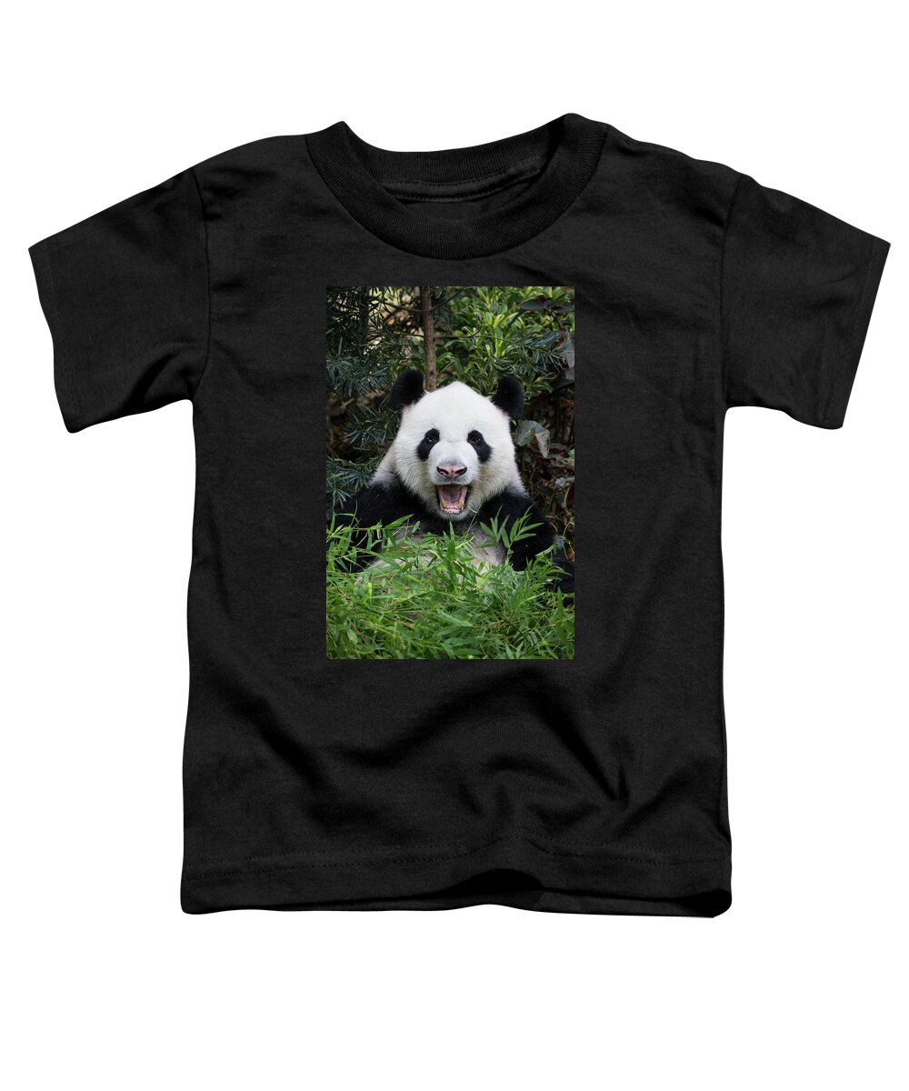 Suzi Eszterhas Toddler T-Shirt featuring the photograph Giant Panda Calling by Suzi Eszterhas