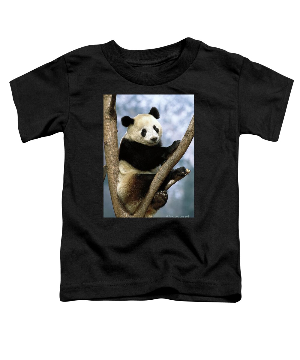 00216393 Toddler T-Shirt featuring the photograph Giant Panda in Wolong Valley by Pete Oxford