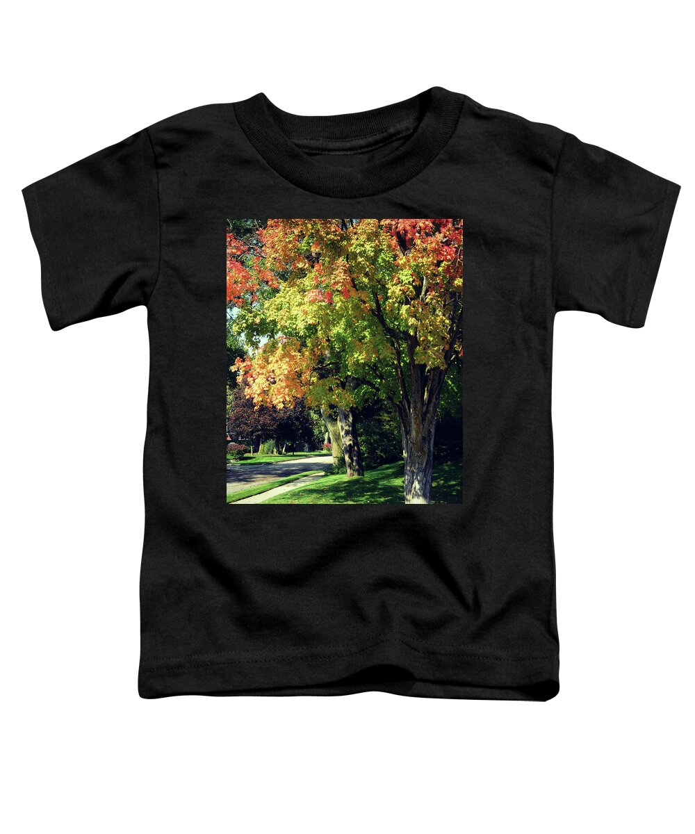 Her Beautiful Path Home Toddler T-Shirt featuring the photograph Her Beautiful Path Home by Cyryn Fyrcyd