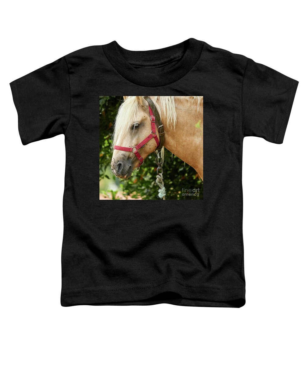 Horseriding Toddler T-Shirt featuring the photograph Horse Head Close Up Red Brown and White by Pablo Avanzini