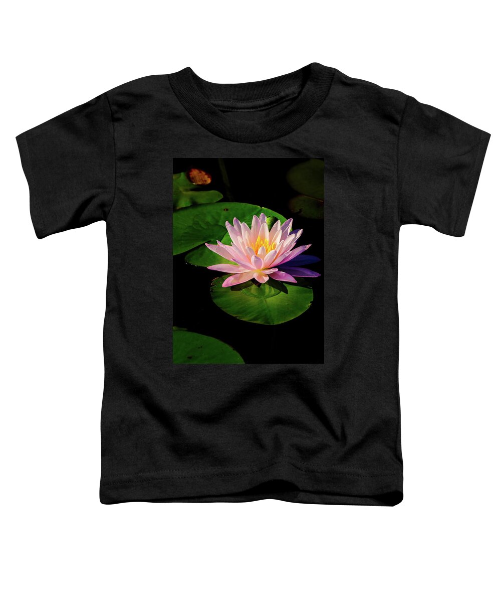 Aquatic Toddler T-Shirt featuring the photograph In The Spotlight by Jeff Sinon