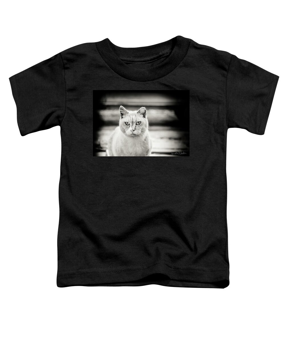 Cat Art Toddler T-Shirt featuring the photograph Iris, 10 Years Old by Sandra Dalton