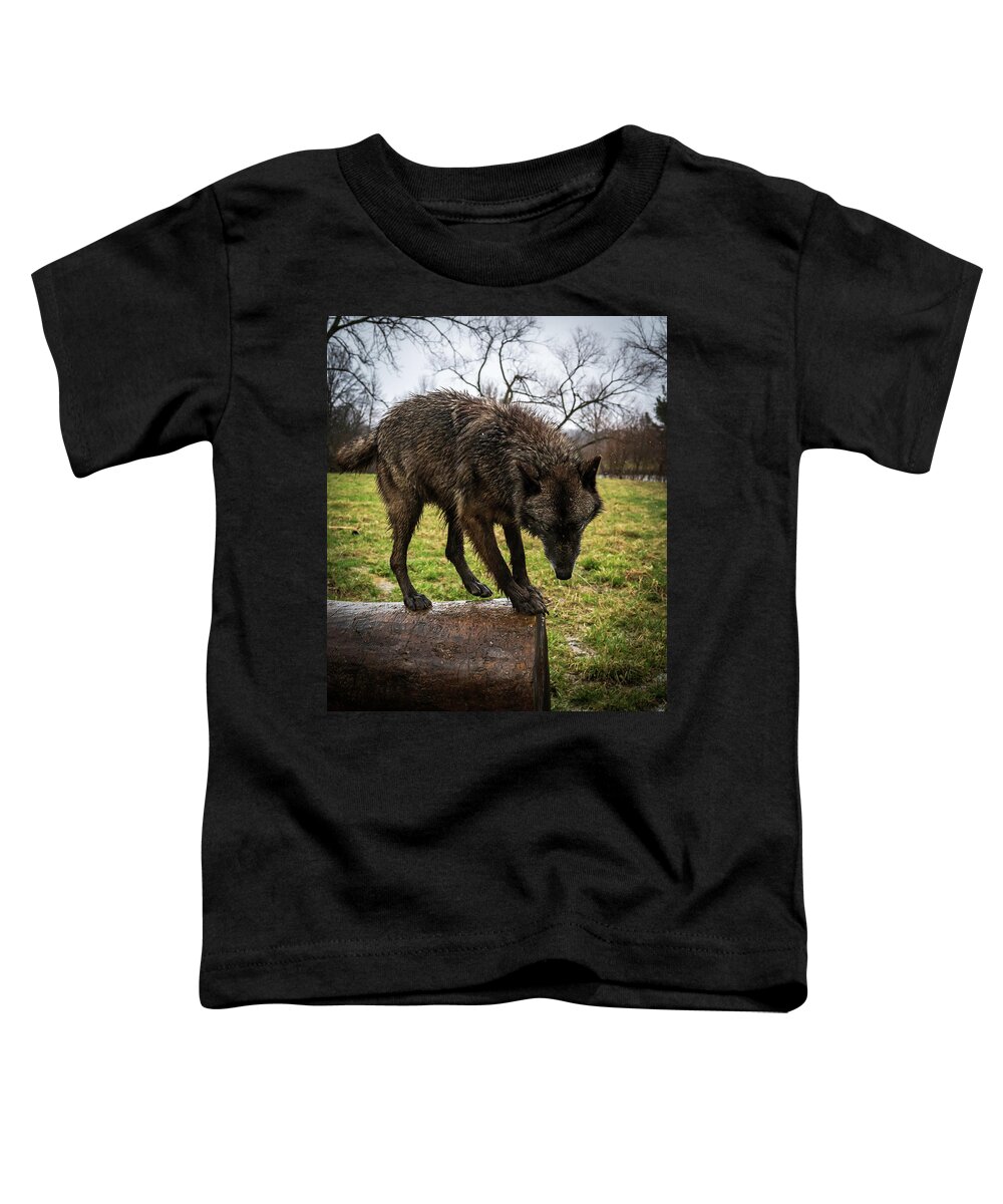 Wolves Wolf Toddler T-Shirt featuring the photograph Jump by Laura Hedien