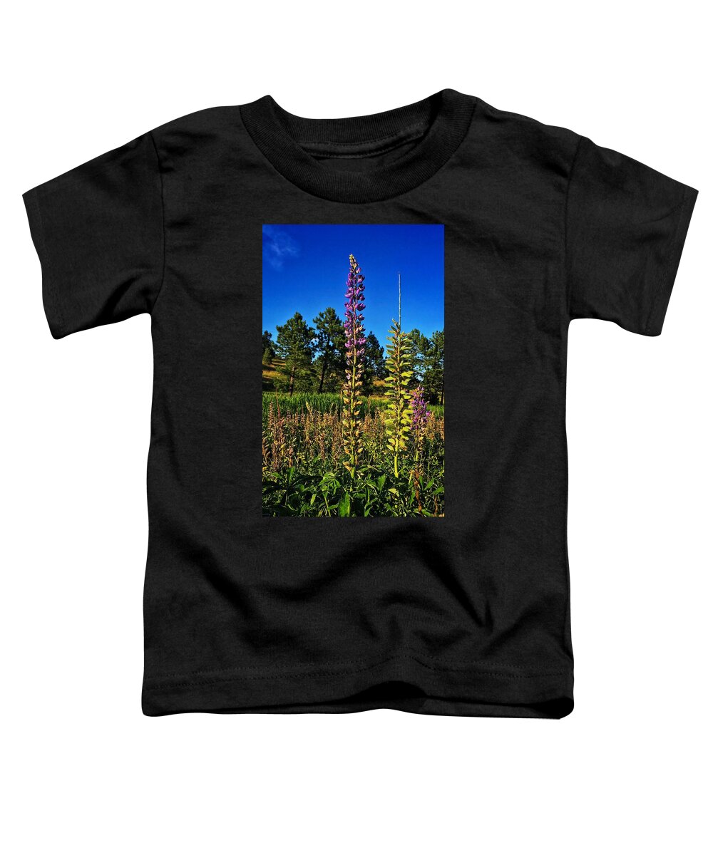 Landscape Toddler T-Shirt featuring the photograph Last Lupine by Dan Miller