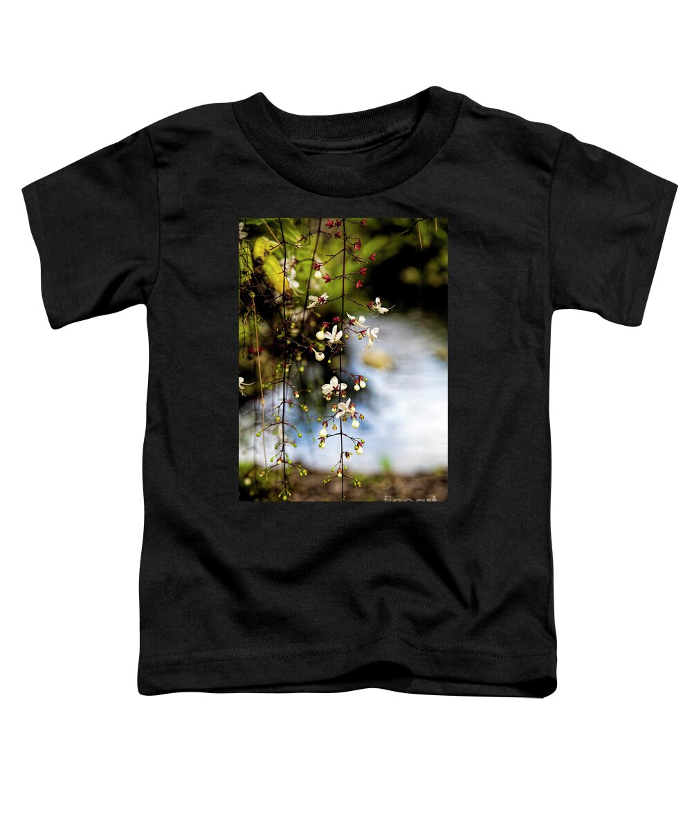 Light Bulbs Toddler T-Shirt featuring the photograph Light Bulbs, Chains Of Glory, Clerodendrum Smithianum by Felix Lai