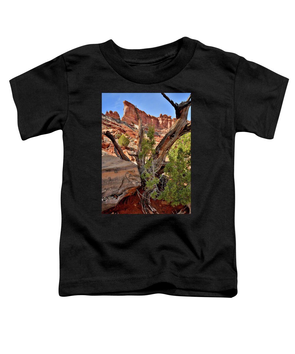 Valley Of The Gods Toddler T-Shirt featuring the photograph Looking Skyward in Valley of the Gods by Ray Mathis