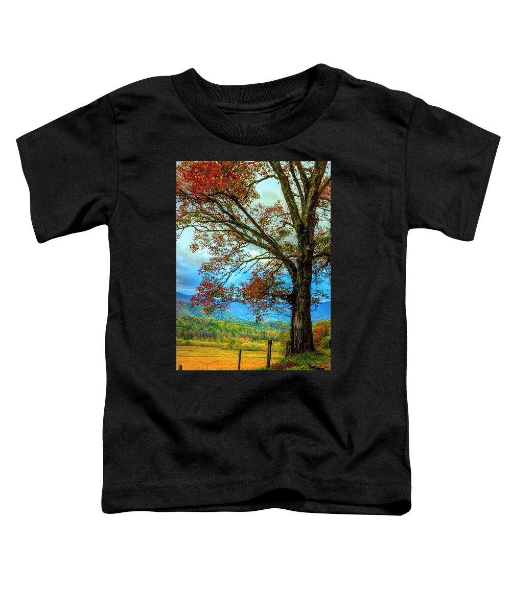 Appalachia Toddler T-Shirt featuring the photograph Majestic by Debra and Dave Vanderlaan
