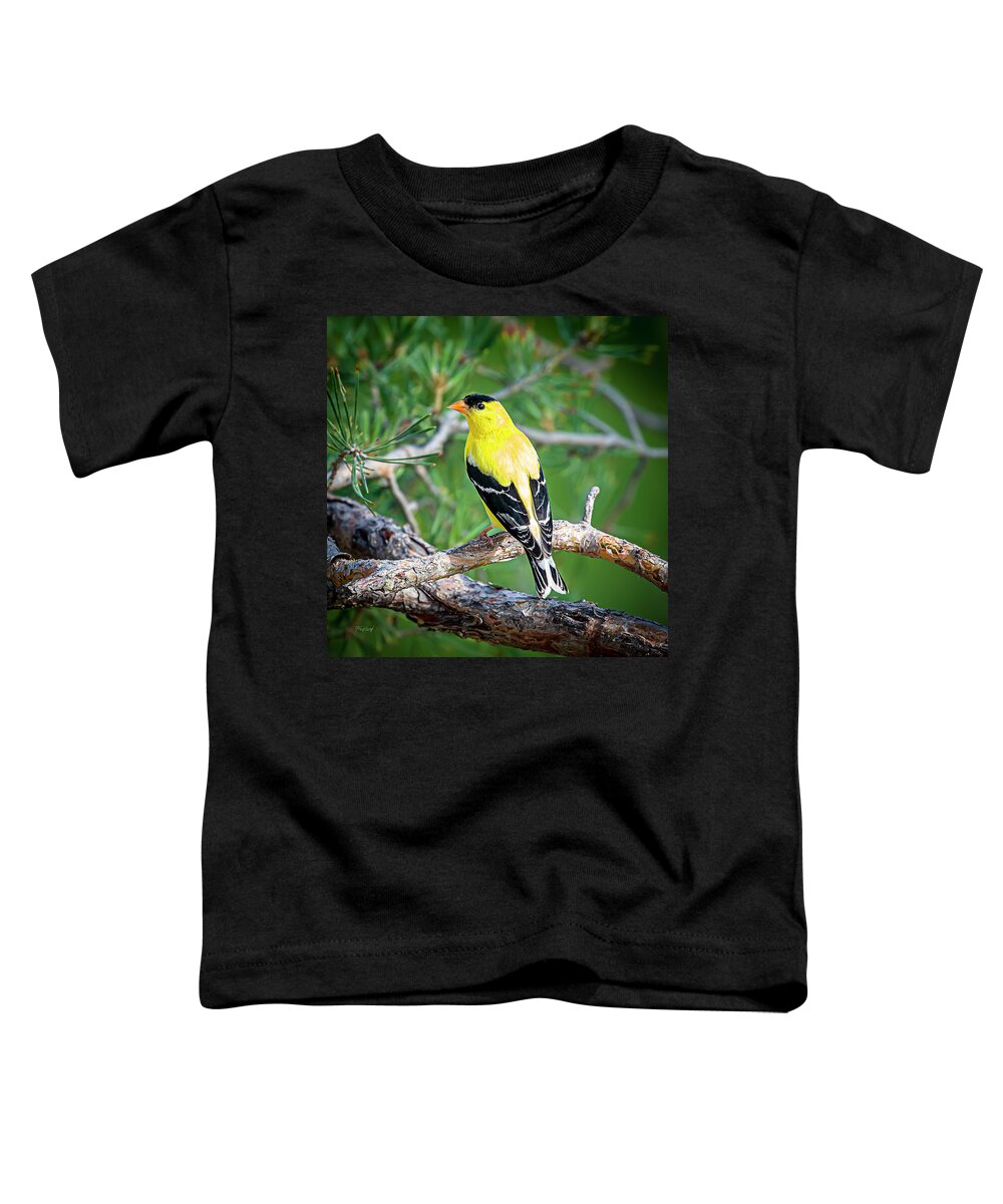 Bird Toddler T-Shirt featuring the photograph Male American Goldfinch by Fred J Lord