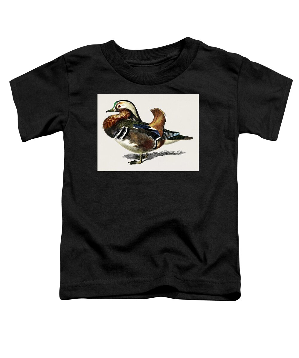 Duck Toddler T-Shirt featuring the painting Mandarin duck Aix galericulata illustrated by Charles Dessalines D' Orbigny 1806-1876 1 by Celestial Images