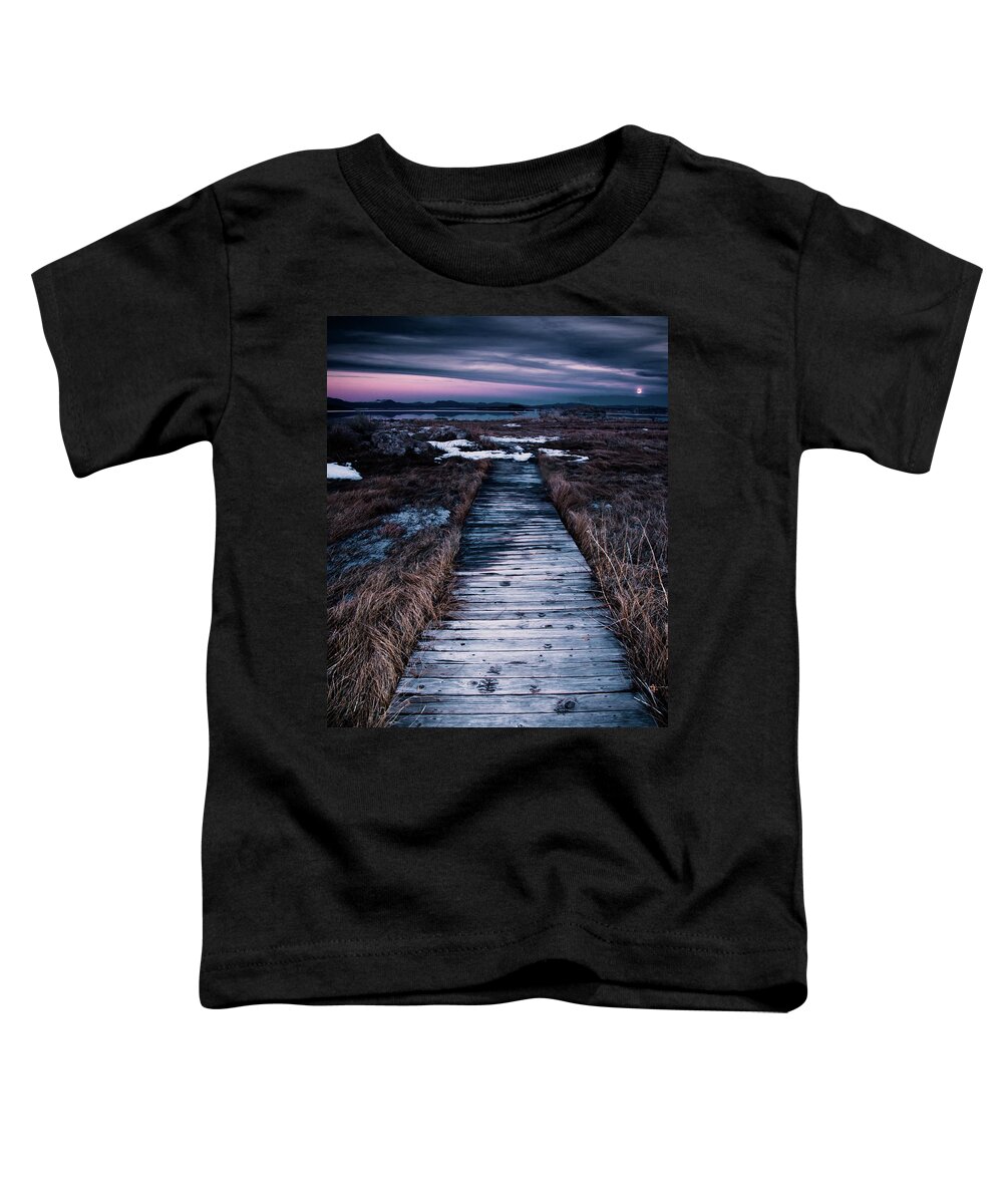 Mono Lake Toddler T-Shirt featuring the photograph Mono Lake Boardwalk by Christopher Johnson