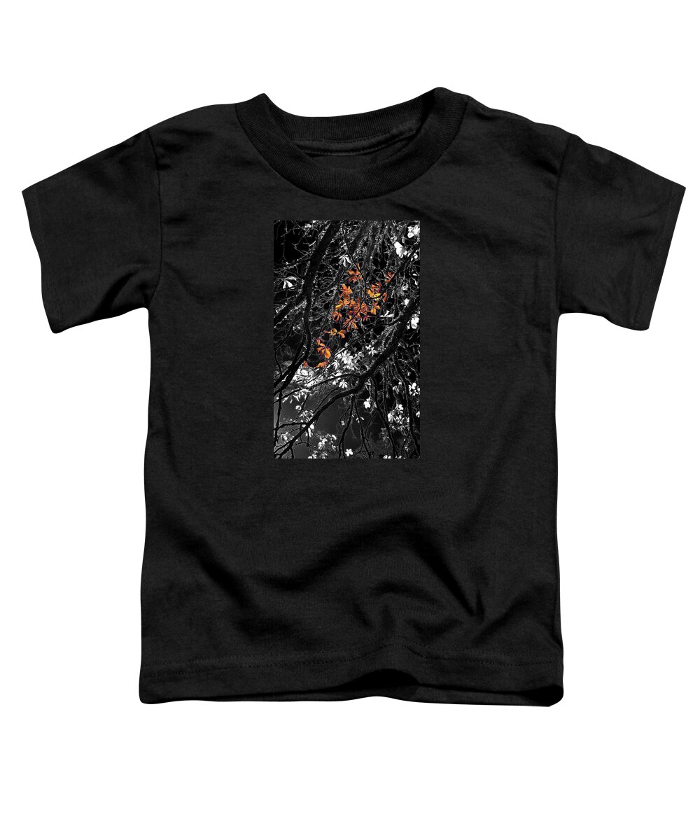 Digital Art Toddler T-Shirt featuring the photograph Moon Kissed Amber by Ian Anderson