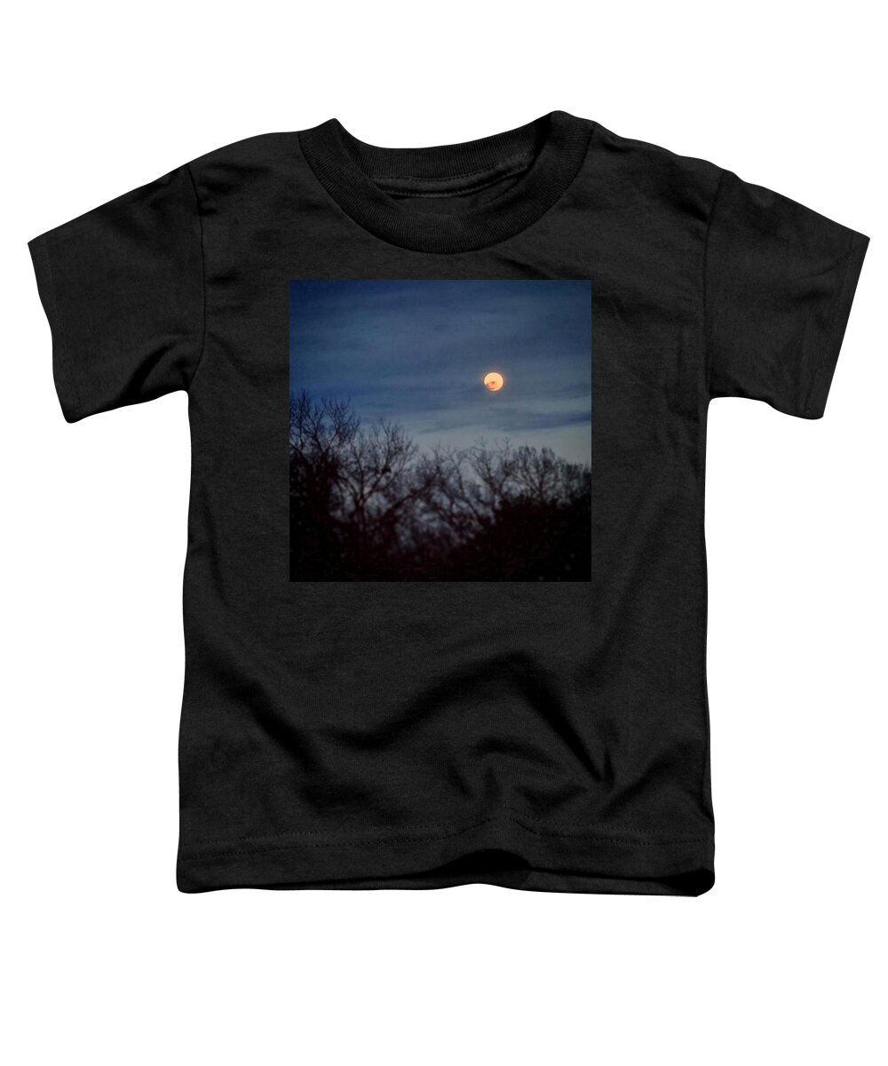Daniel Toddler T-Shirt featuring the painting Moonrise and Trees by Daniel Nelson