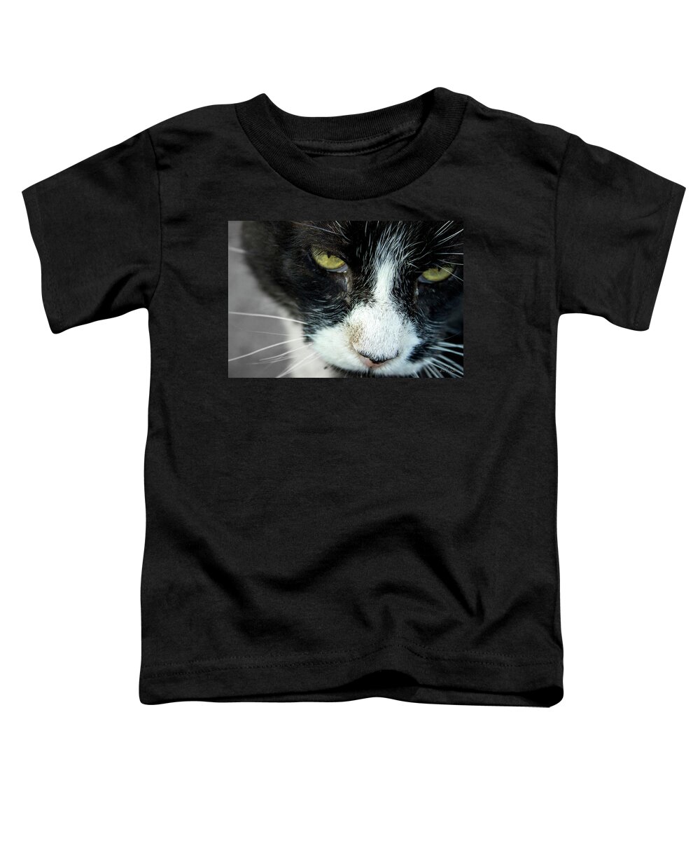 Cats Toddler T-Shirt featuring the photograph Mr. Tom's Close-Up by Sandra Dalton