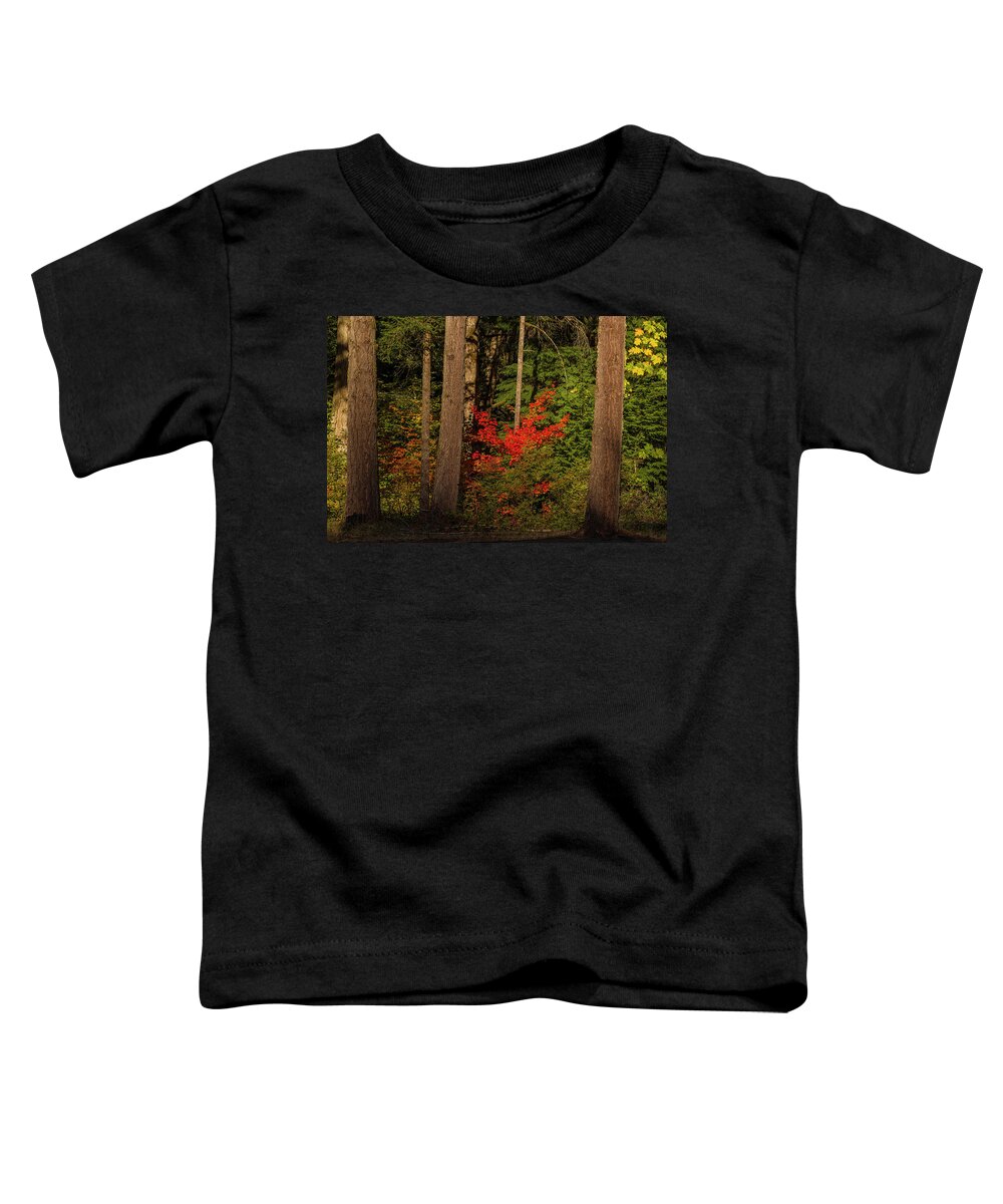 Silver Falls Toddler T-Shirt featuring the photograph October forest by Ulrich Burkhalter