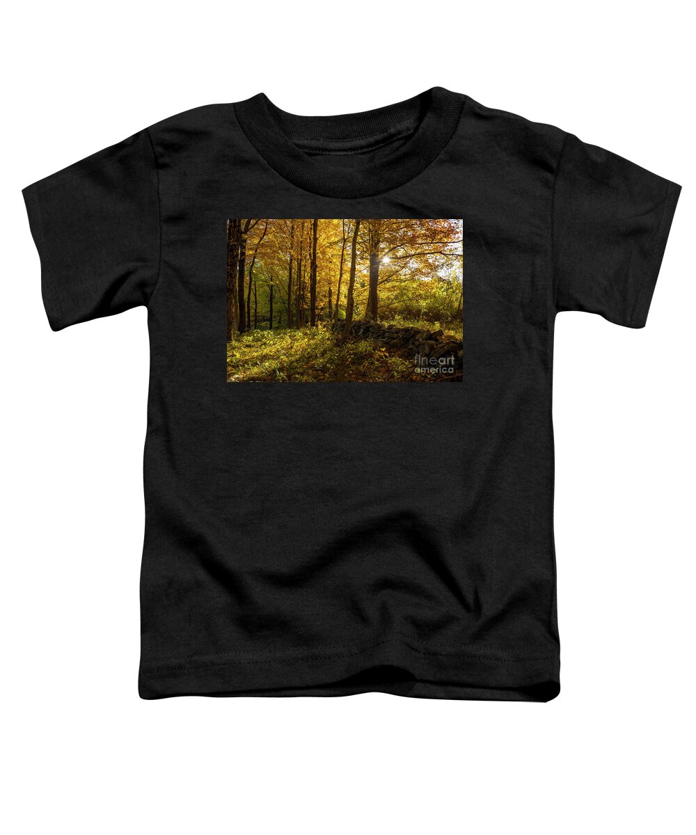 Autumn Toddler T-Shirt featuring the photograph October Morning by Diane Diederich