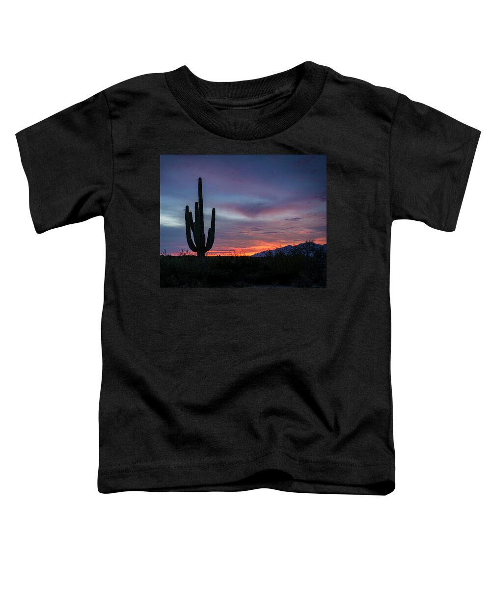 Desert Toddler T-Shirt featuring the photograph Oh the Colors by Laura Hedien