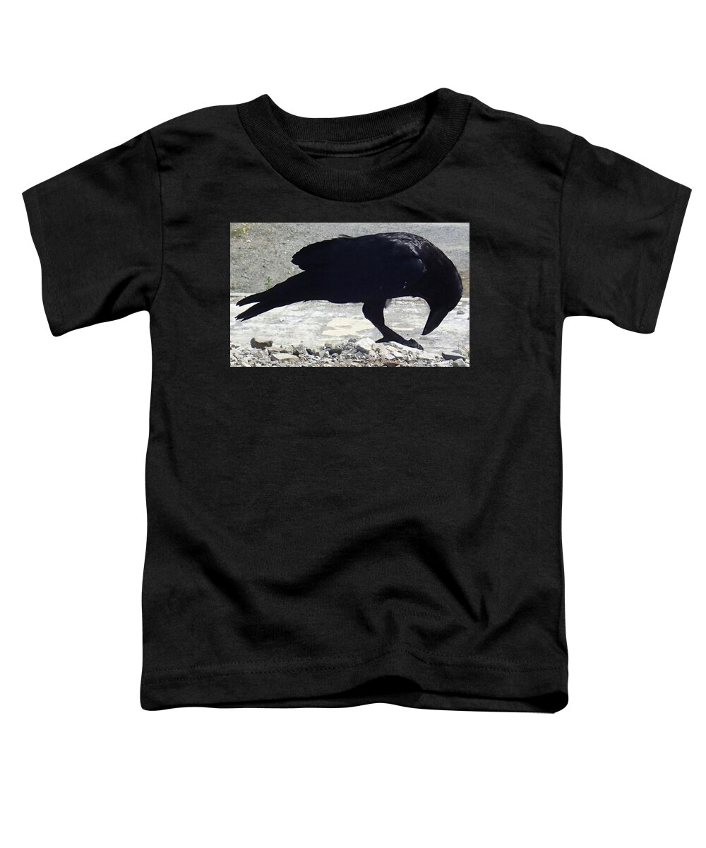 Raven. Black Toddler T-Shirt featuring the photograph Peck by Fred Bailey